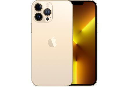 iPhone 13 Pro Max: Apple iPhone 13 Pro Max 256 Gb (Gold)
