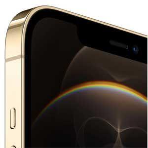 iPhone 12 Pro Max: Apple iPhone 12 Pro Max 256 ГБ (золотой)
