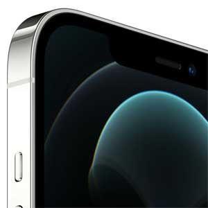 iPhone 12 Pro Max: Apple iPhone 12 Pro Max 256 ГБ (серебристый)