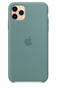 Чехлы для iPhone: Силіконовий чохол Apple Silicone Case для iPhone 11 Pro Max (дикий кактус)