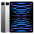 iPad Pro 12,9" M2: Apple iPad Pro 12.9" 2022 Wi-Fi+Cellular 1 Тб M2 Space Gray small