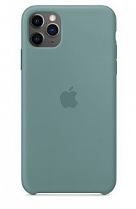 Чехлы для iPhone: Apple Silicone Case для iPhone 11 Pro Max (дикий кактус)