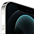 iPhone 12 Pro Max: Apple iPhone 12 Pro Max 128 ГБ (серебристый) small