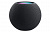 Настольные акустические системы: Портативна колонка Apple HomePod mini MY5G2 (сірий космос) small